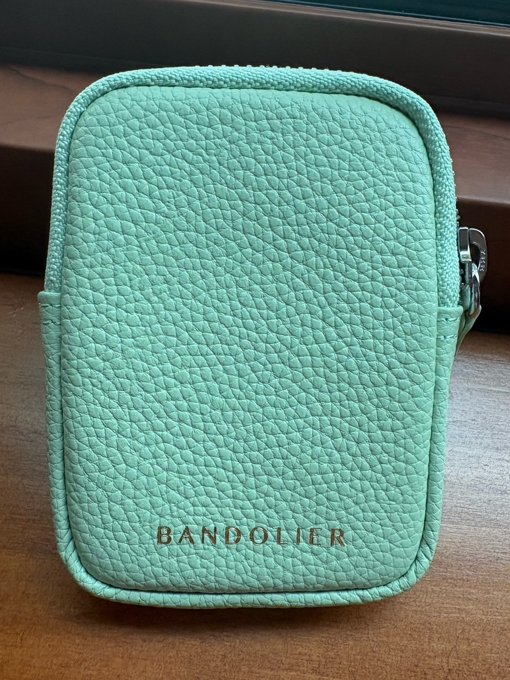Bandolier pastel matcha/silver Pebbled zip pouch NEW